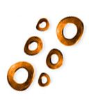 manufacturers of Belleville Spring Washers Exporters India.